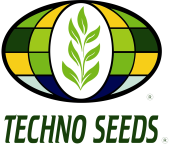 Techno Seeds